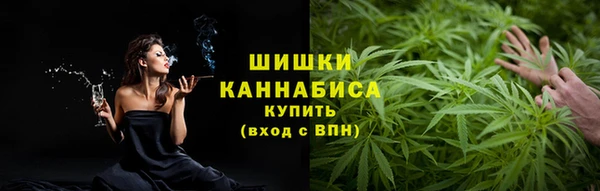 винт Тында